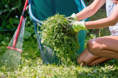 Fall Lawn Cleanup Service in Mount Vernon