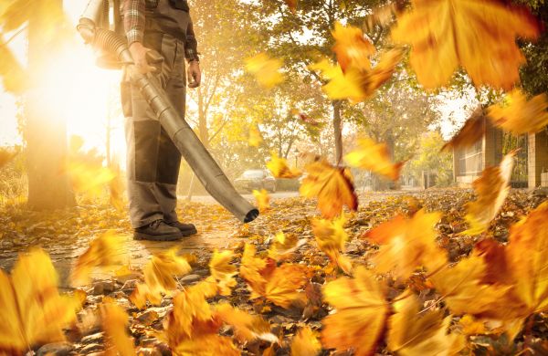 Cost of Leaf Blowing Service in Mount Vernon