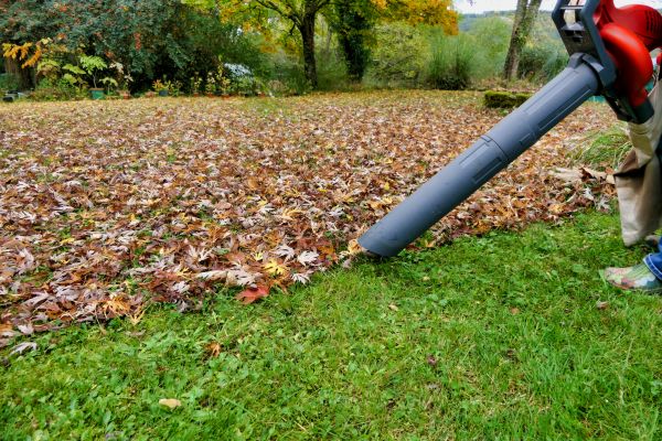 Cost of Leaf Vacuuming Service in Mount Vernon