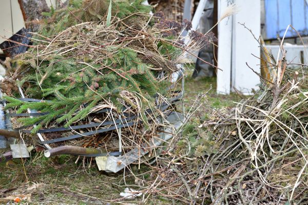 Cost of Yard Debris Removal in Mount Vernon