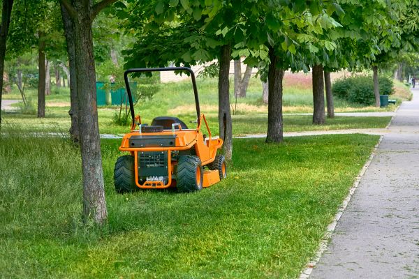 Cost of Landscaping Cleanup Service in Mount Vernon