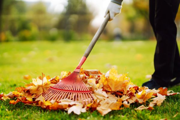Cost of Ditch Leaf Removal in Mount Vernon