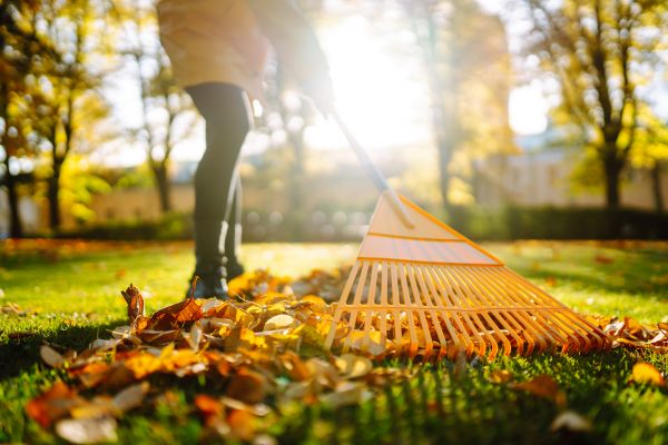 Cost of Leaves Raking in Mount Vernon
