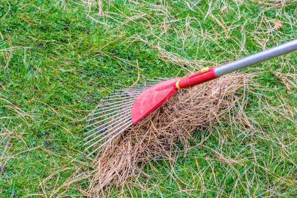 Cost of Yard Raking in Mount Vernon