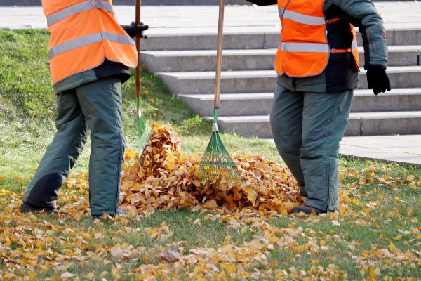 Cost of Leaf Hauling Service in Mount Vernon