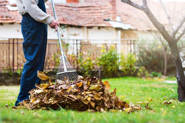 Cost of Spring Lawn Cleanup in Mount Vernon