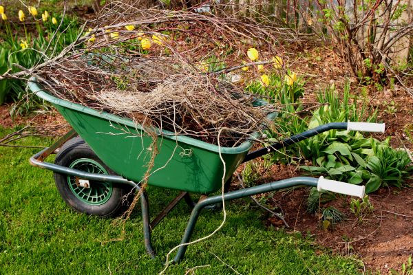 Cost of Lawn Waste Removal in Mount Vernon