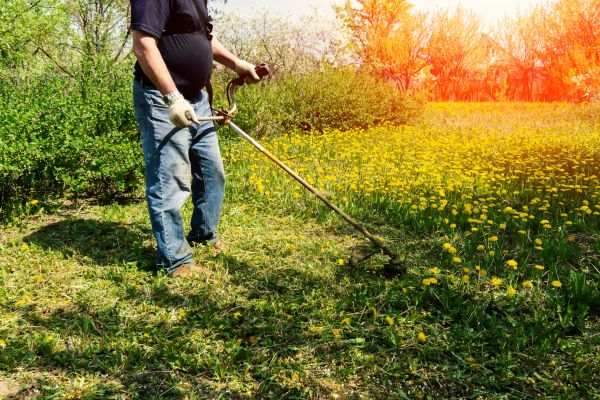 Cost of Yard Clearing Service in Mount Vernon