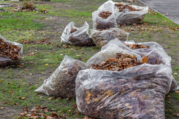 Cost of Leaf Pile Disposal in Mount Vernon