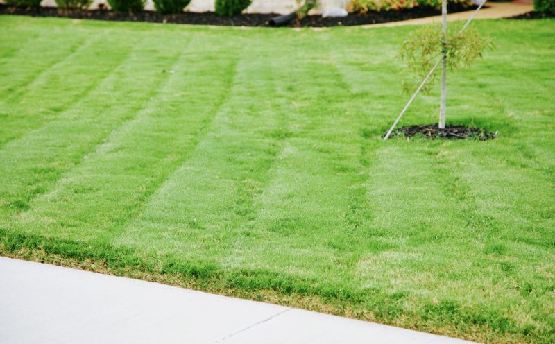 Yard with Freshly Trimmed Edges